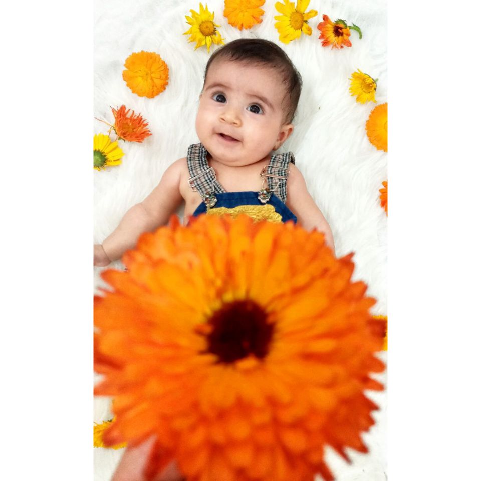 متولد شدن نوزاد دریا ذاکری