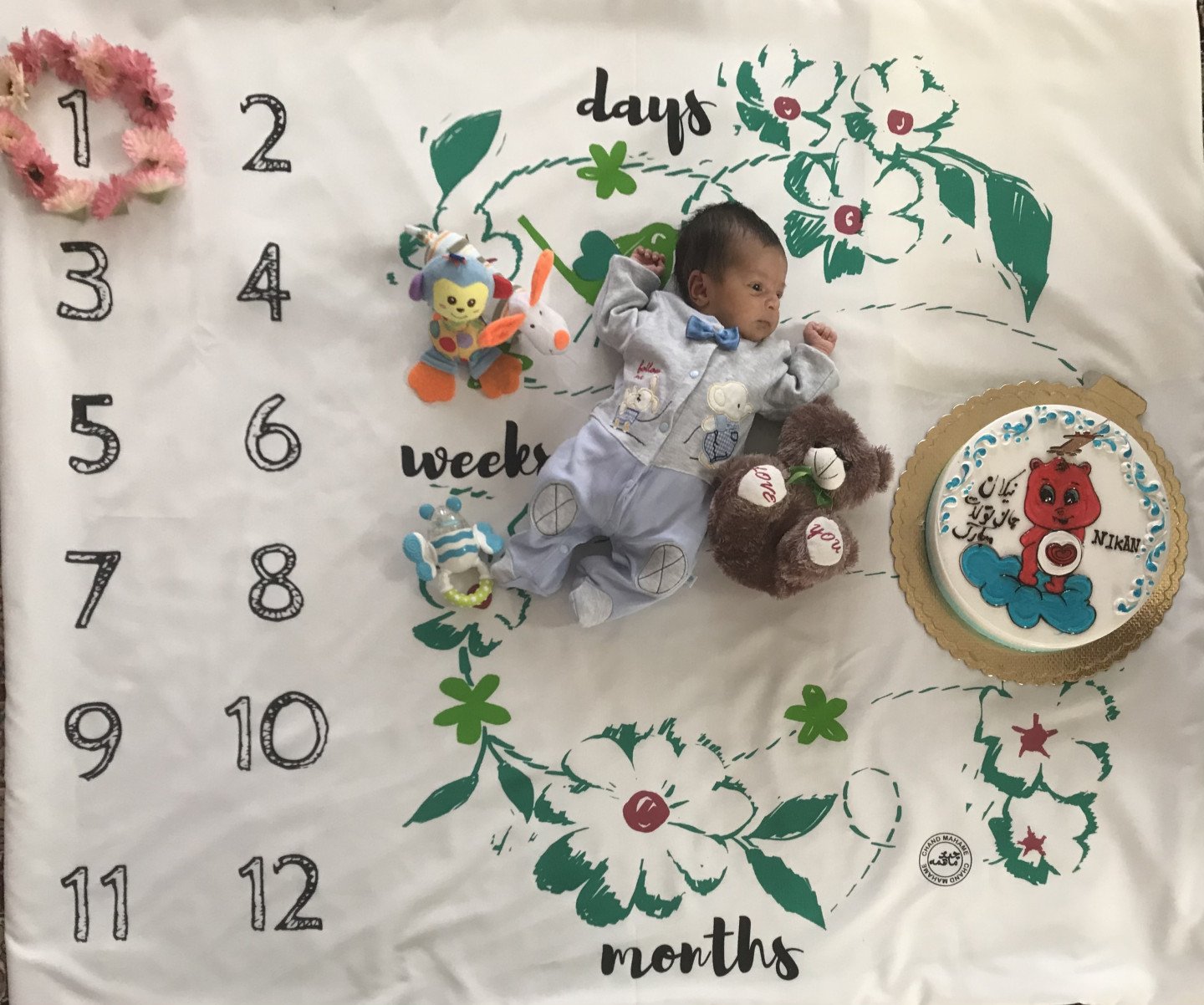 تم عکس پاییزی نوزاد نیکان روح الامین