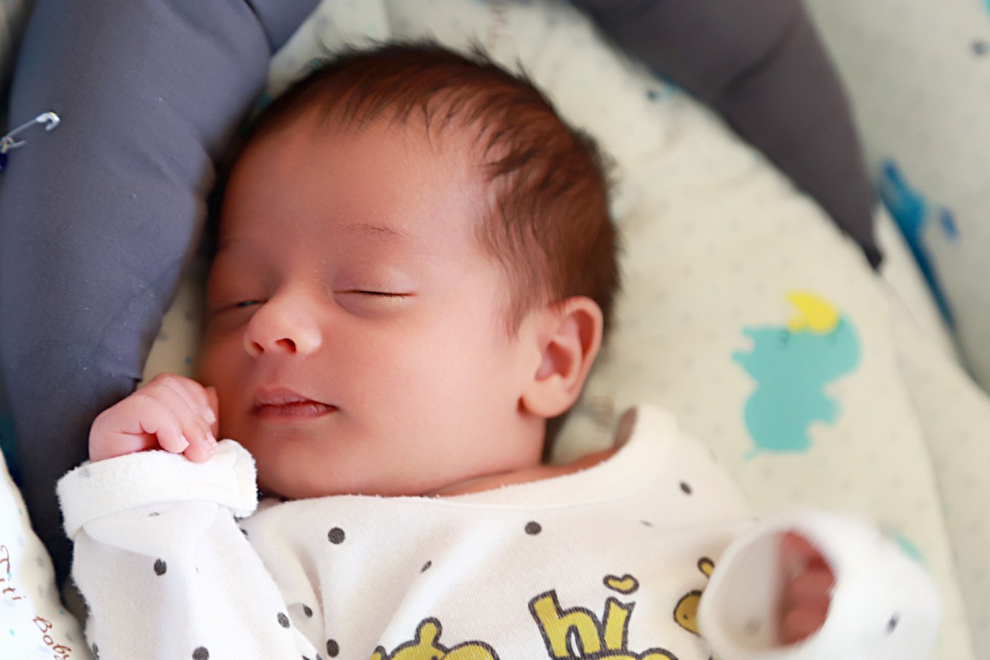 متولد شدن نوزاد ماهور آذرمهر