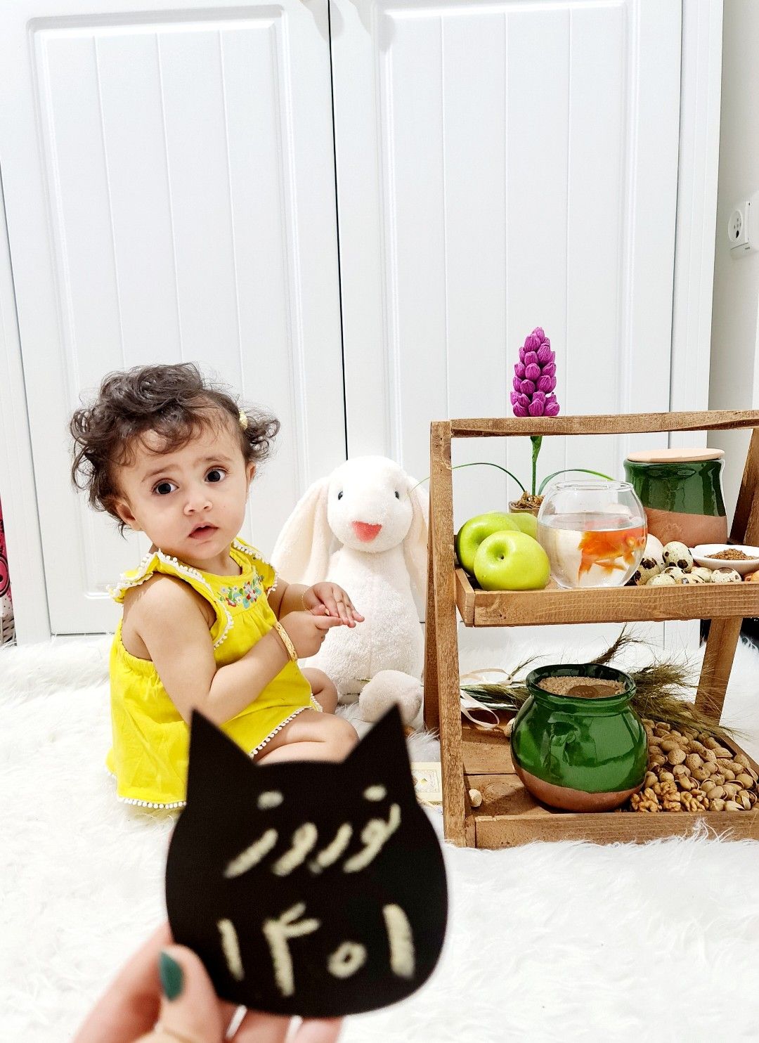 تخته-سیاه-ها-53474