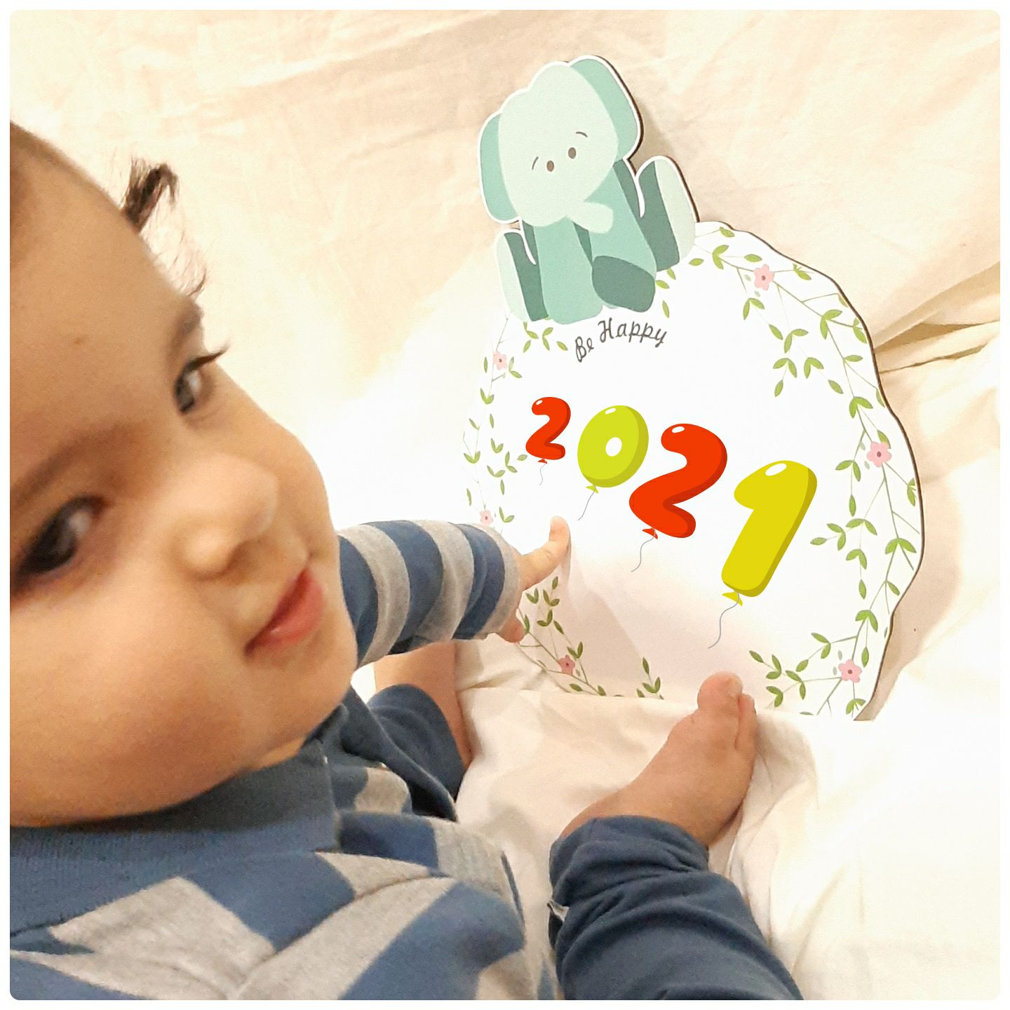 دوازده ماهگی نوزاد الوین معرفت