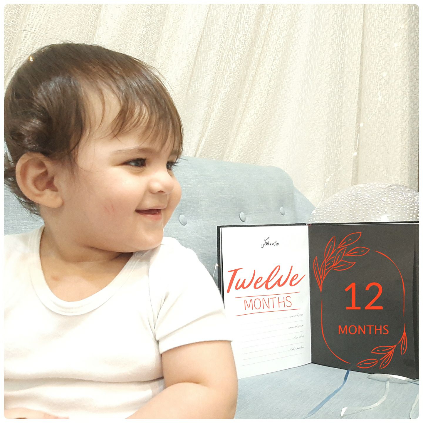 تم عکس زمستانی نوزاد الوین معرفت