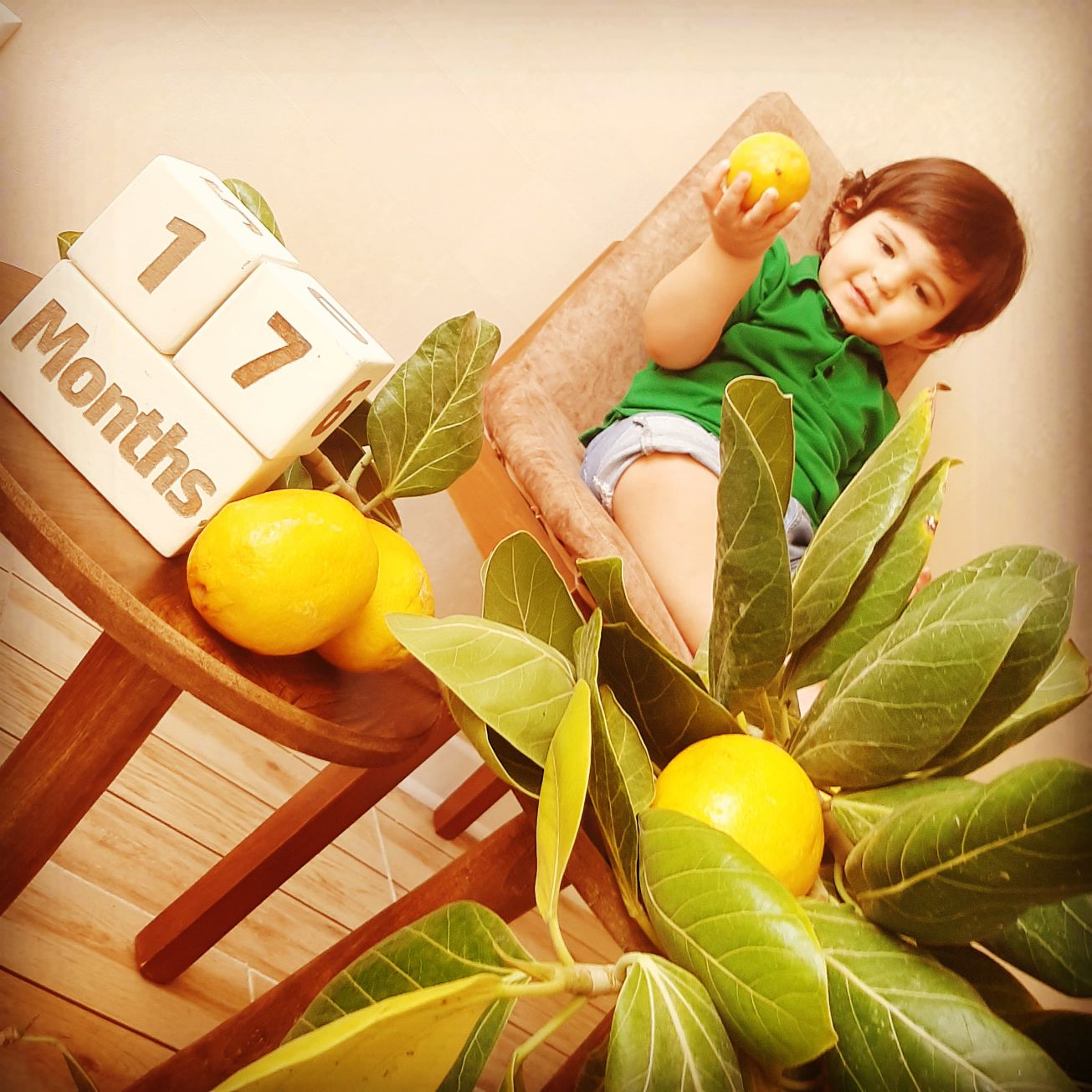 شانزده ماهگی کودک الوین معرفت