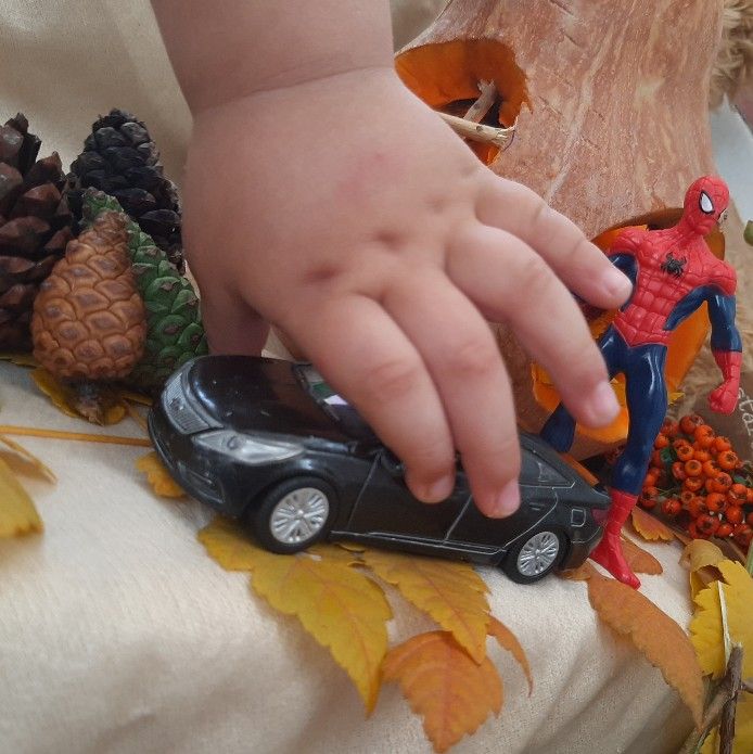 پاییز الوین معرفت