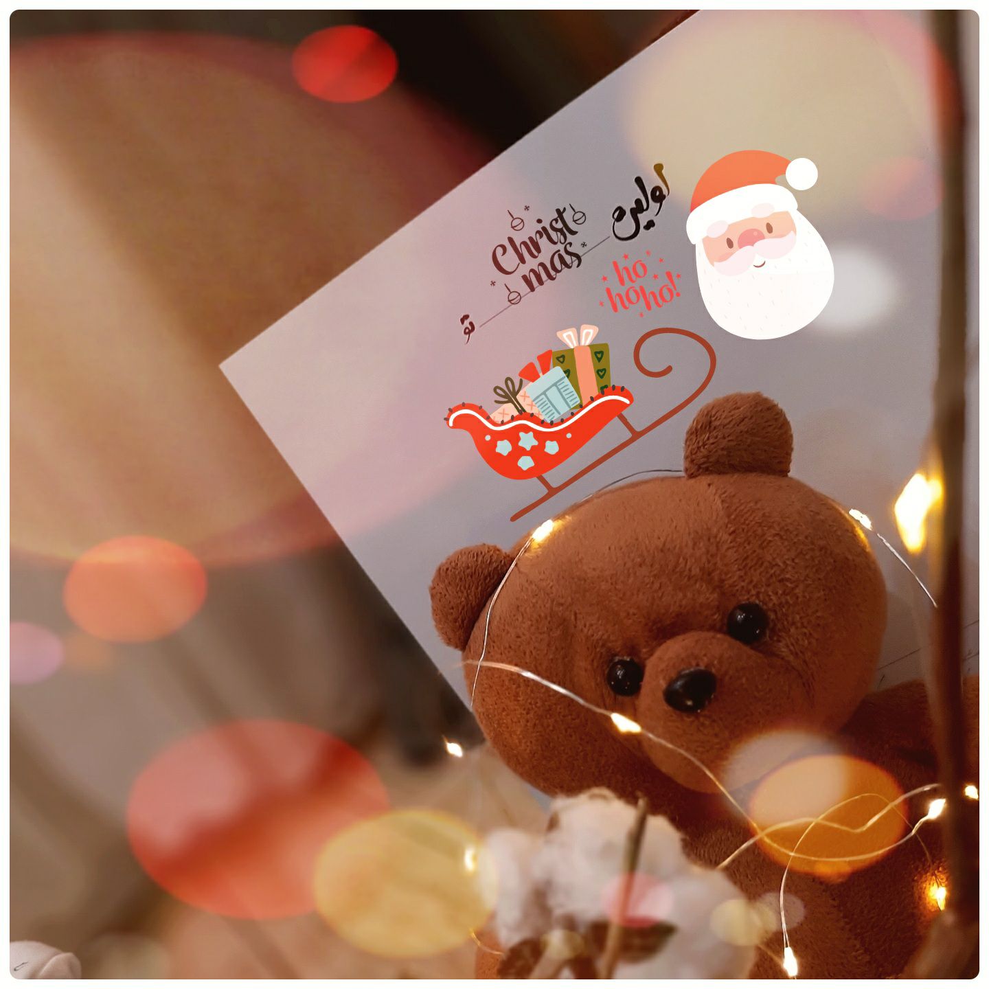 یازده ماهگی نوزاد الوین معرفت