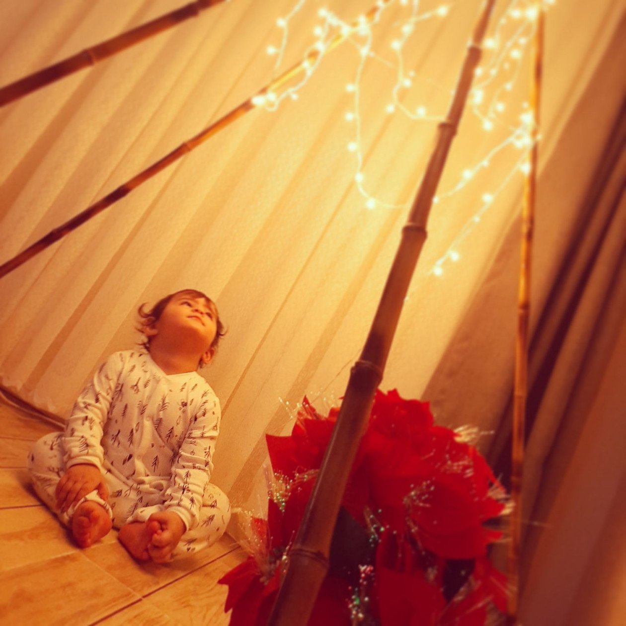 جشن کریسمس کودک الوین معرفت