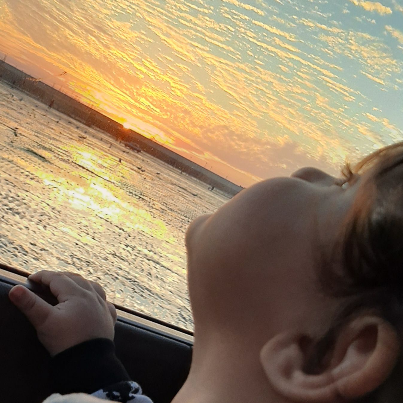 دوازده ماهگی نوزاد الوین معرفت