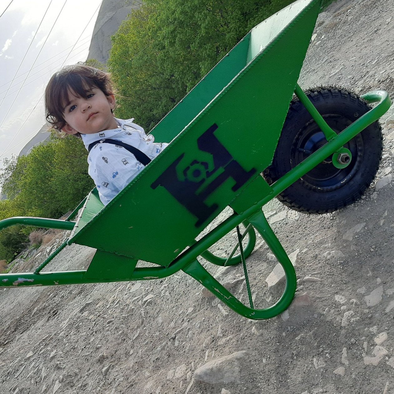 شانزده ماهگی کودک الوین معرفت