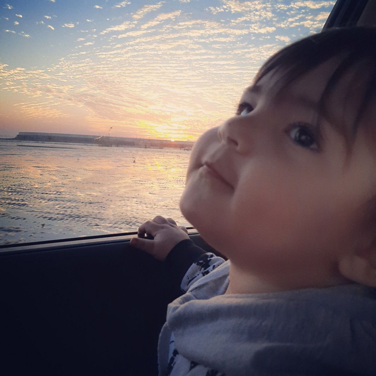 دوازده ماهگی نوزاد الوین معرفت