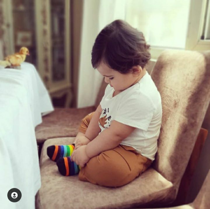 عید نوروز الوین معرفت