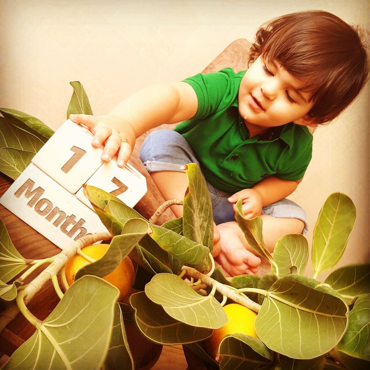 شانزده ماهگی کودک الوین معرفت