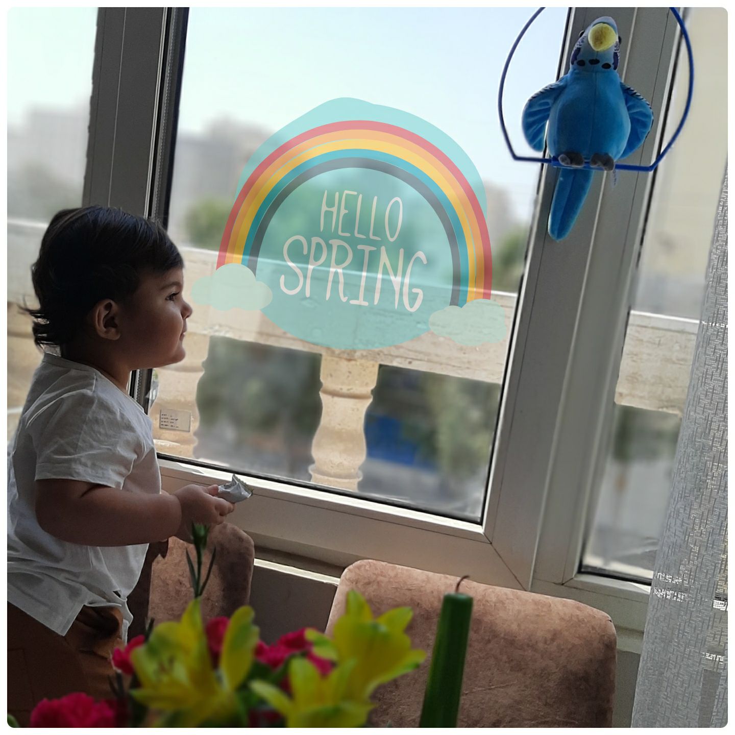 چهارده ماهگی_کودک الوین معرفت