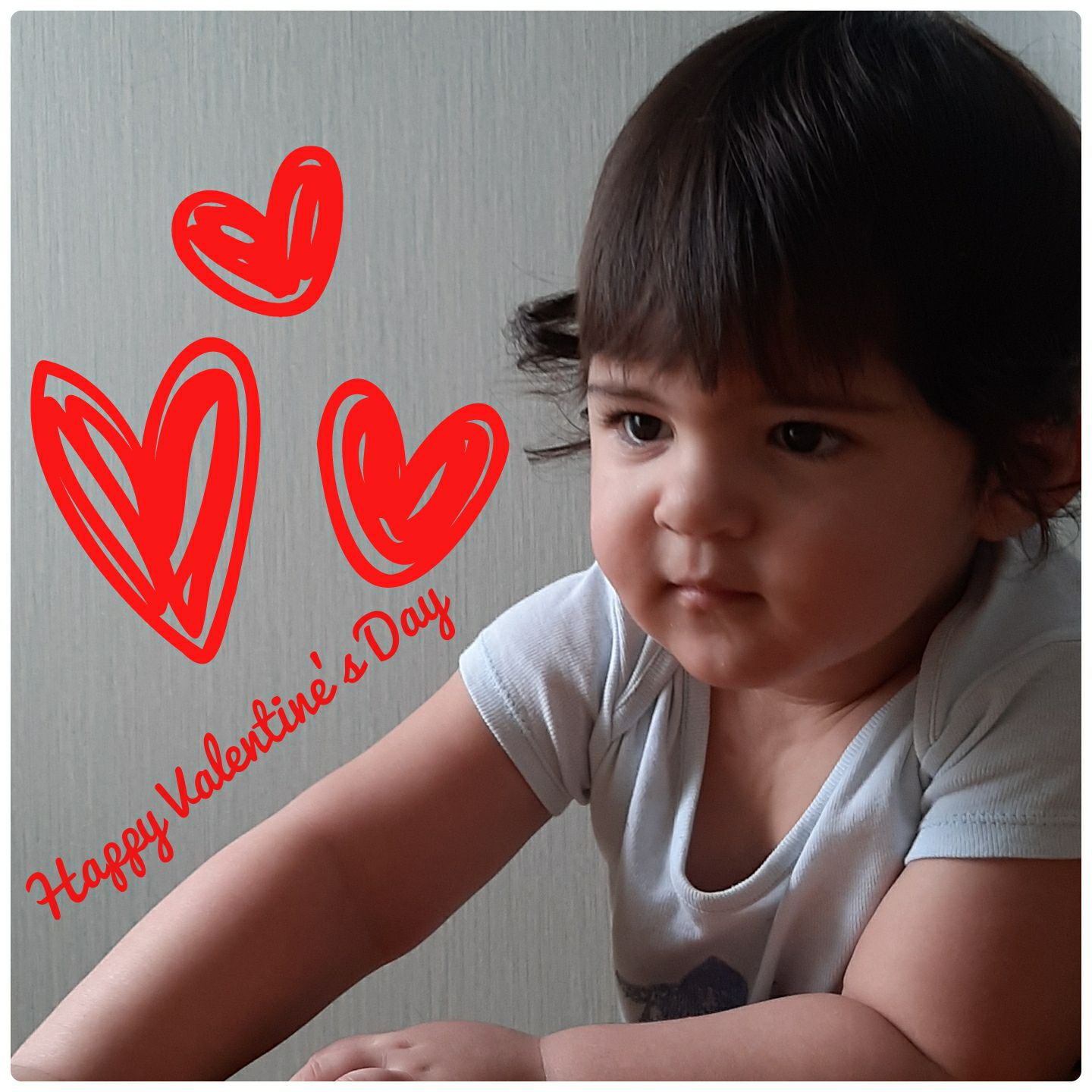 سیزده ماهگی کودک الوین معرفت