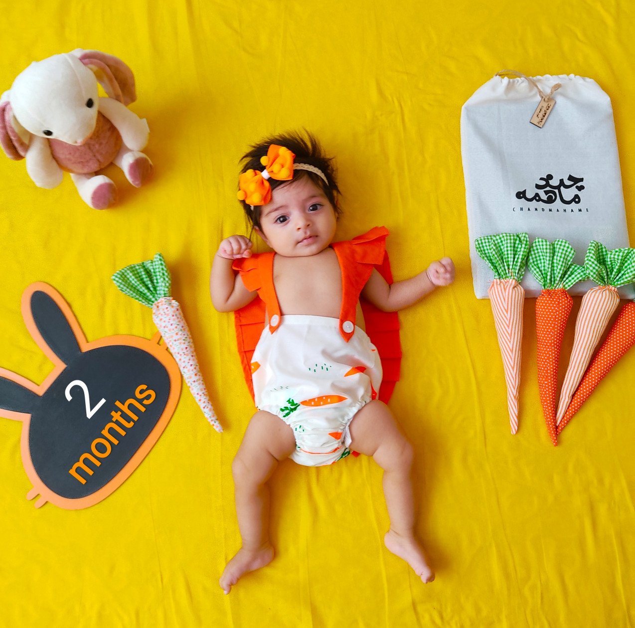 هویج پارچه‌ای دلاریس امراللهی