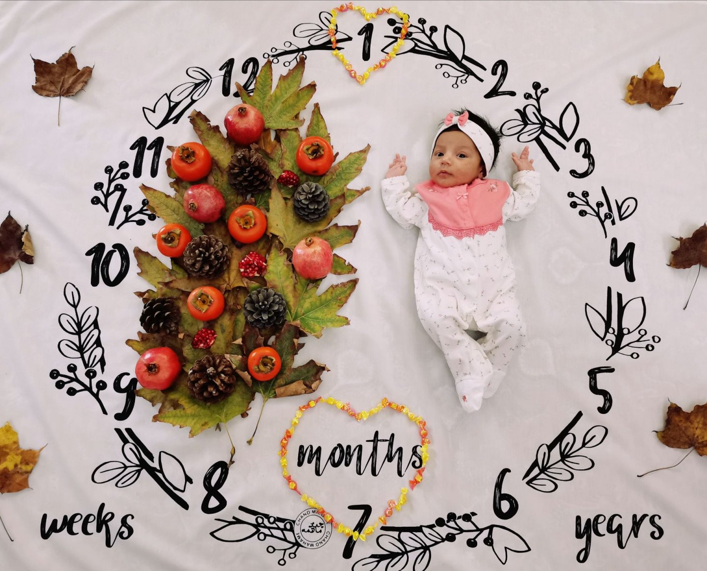 تم عکس پاییزی نوزاد سلین یعقوبی فیروز