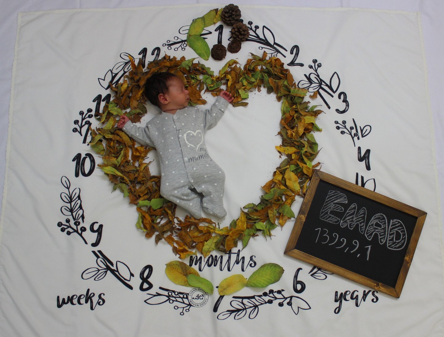 یک ماهگی نوزاد عماد حاجی