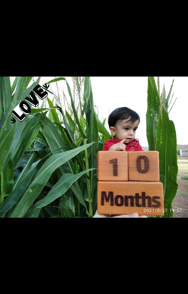 مسابقه تابستان فرشاد رفیعی