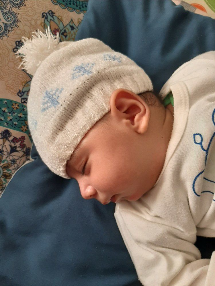 لالا کردنم آریا چلبی