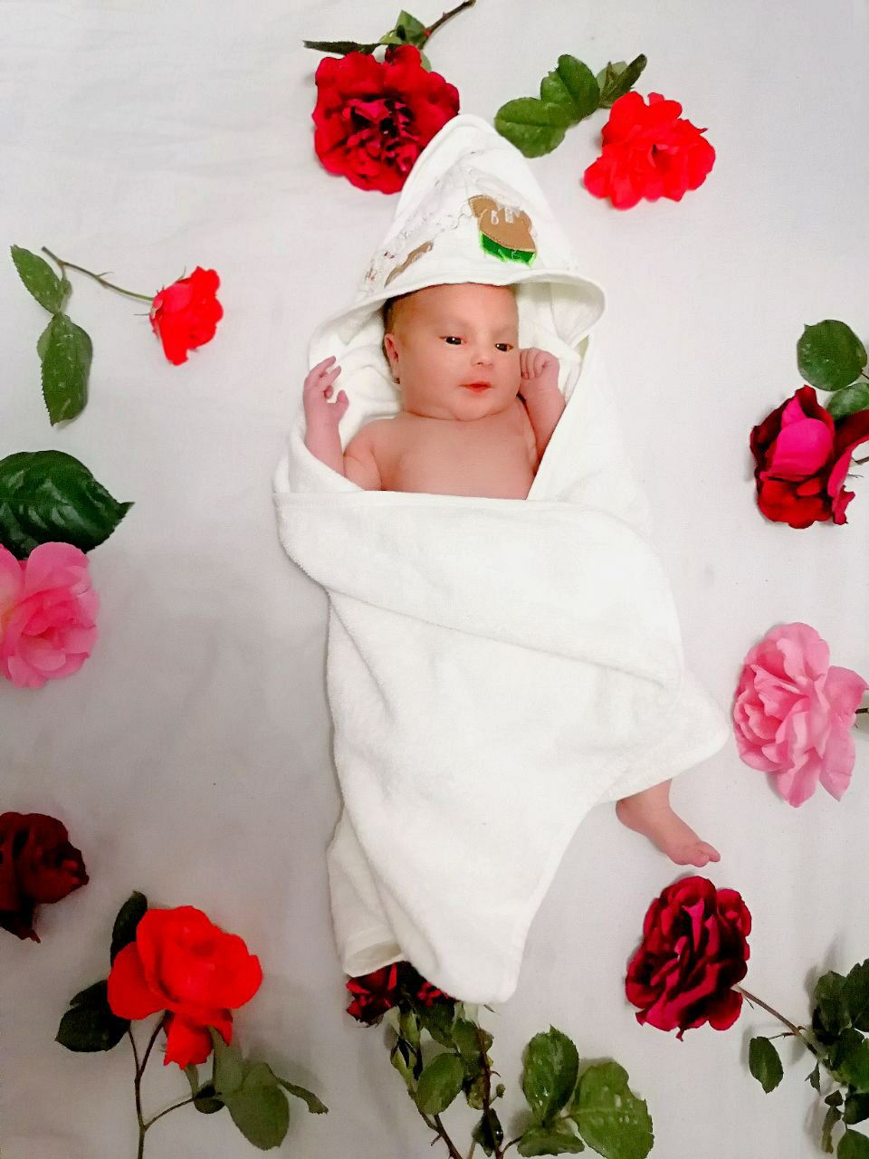 یک ماهگی نوزاد سوین موحد