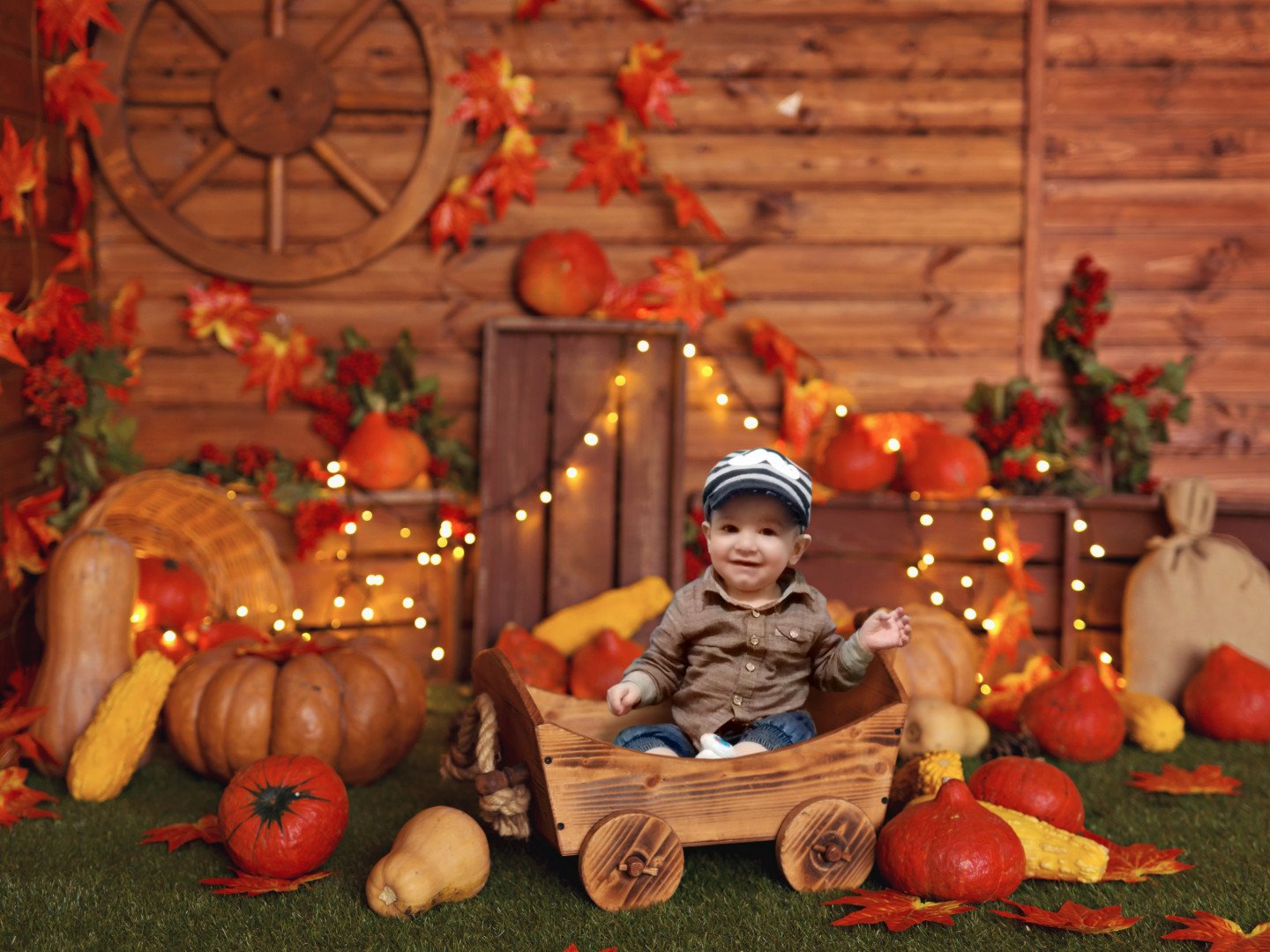 دوازده ماهگی نوزاد محمدتیرافکن