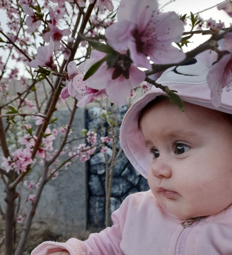 تم عکس بهاری کودک ارغوان بهادرستانی