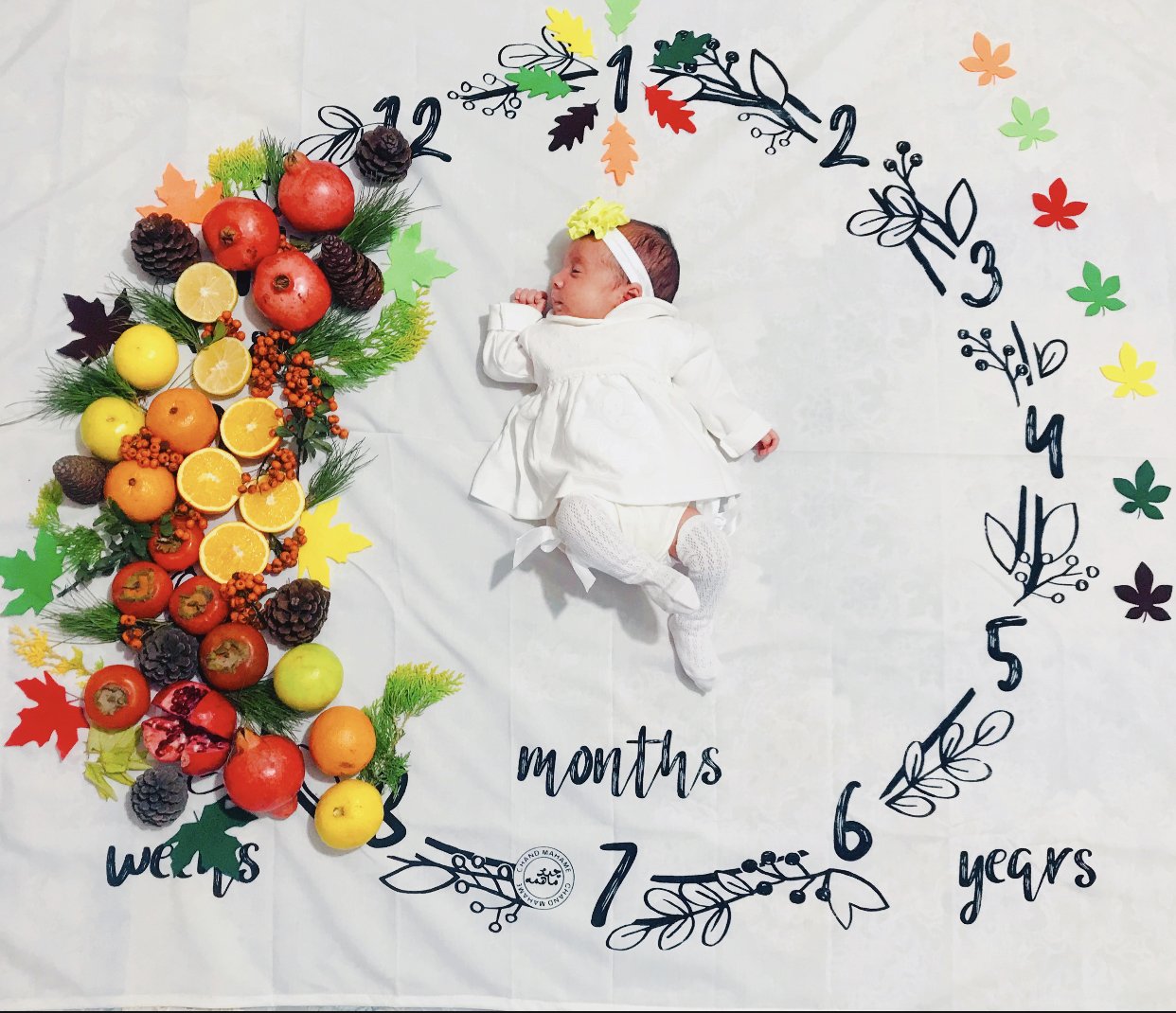 متولد شدن نوزاد سلین خدابنده لو