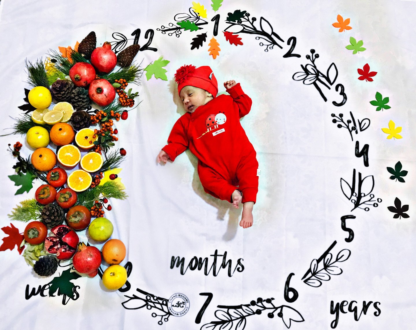 تم عکس پاییزی نوزاد سلین خدابنده لو