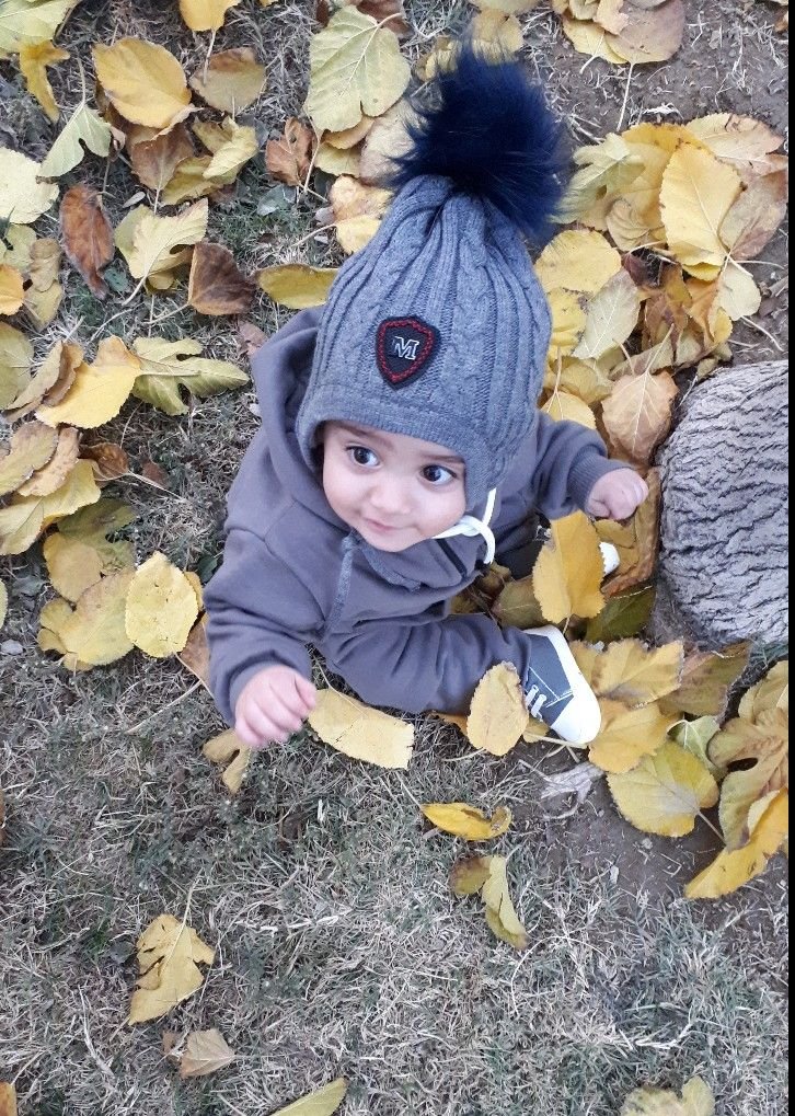 تم عکس پاییزی نوزاد سید میلان فداکار
