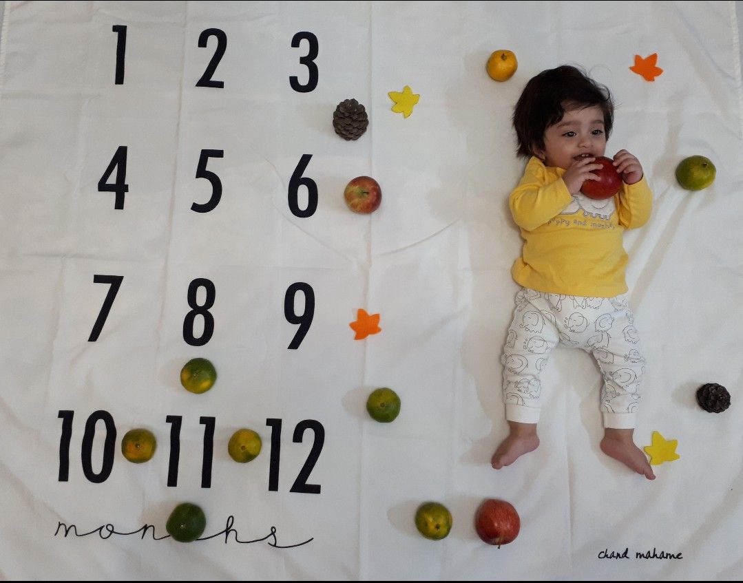 تم عکس پاییزی نوزاد سید میلان فداکار