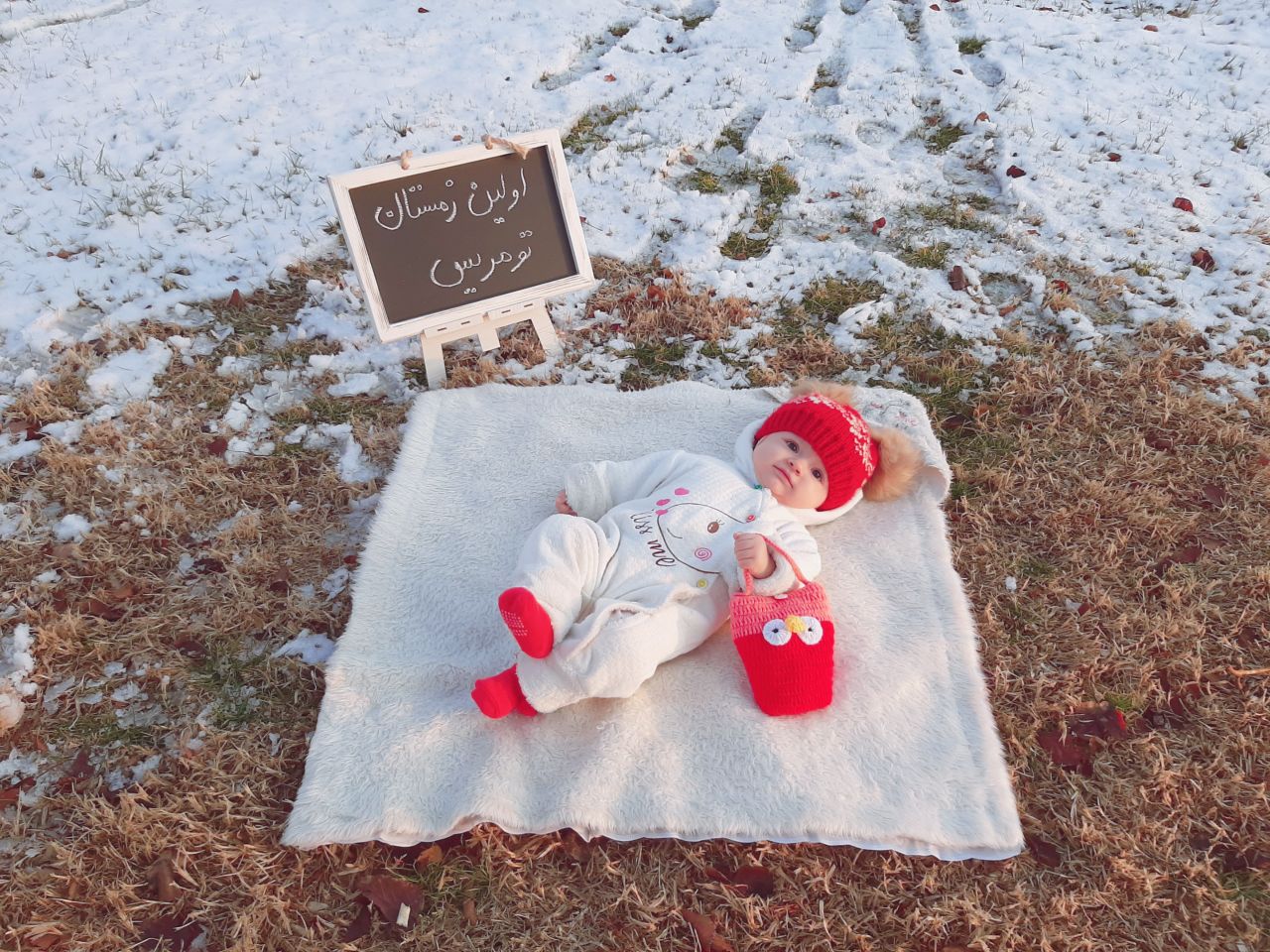 تم عکس زمستانی نوزاد تومریس نگارستانی