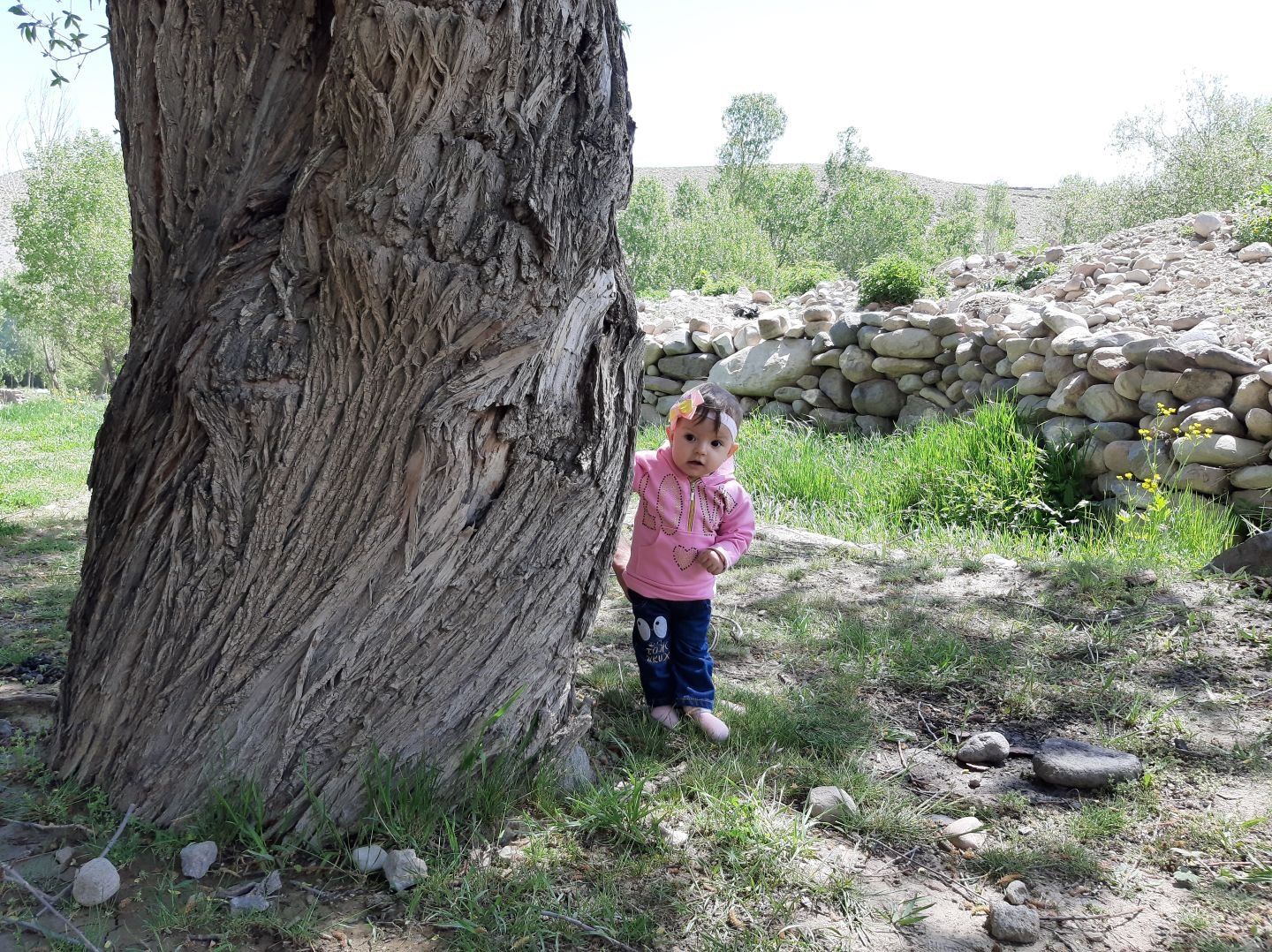 تم عکس بهاری کودک تومریس نگارستانی