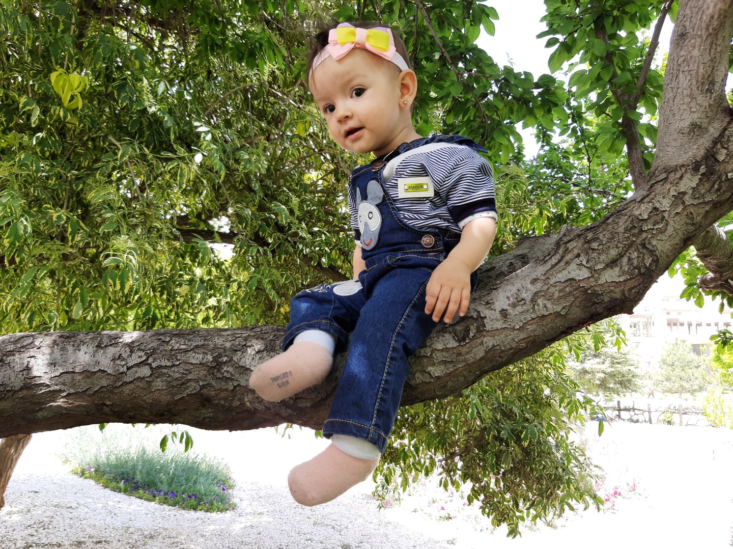 تم عکس بهاری کودک تومریس نگارستانی