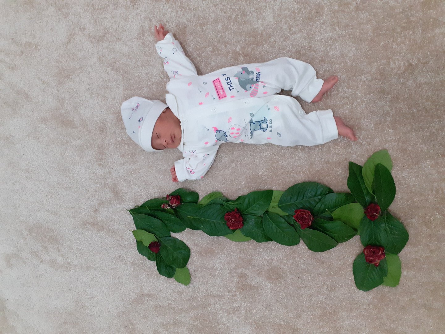 یک ماهگی نوزاد حسین بهفر