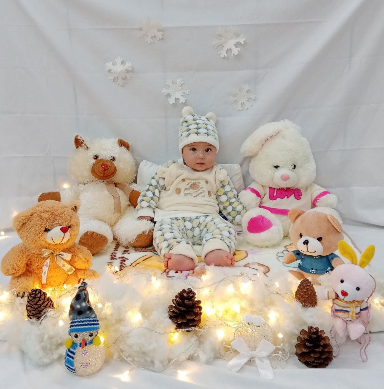 تم عکس زمستانی نوزاد آرش چترایی