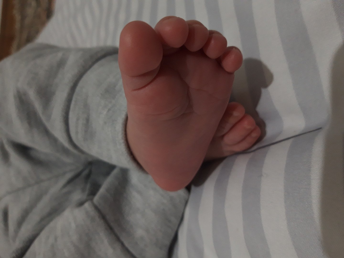 تم عکس زمستانی نوزاد پاشا صالحی