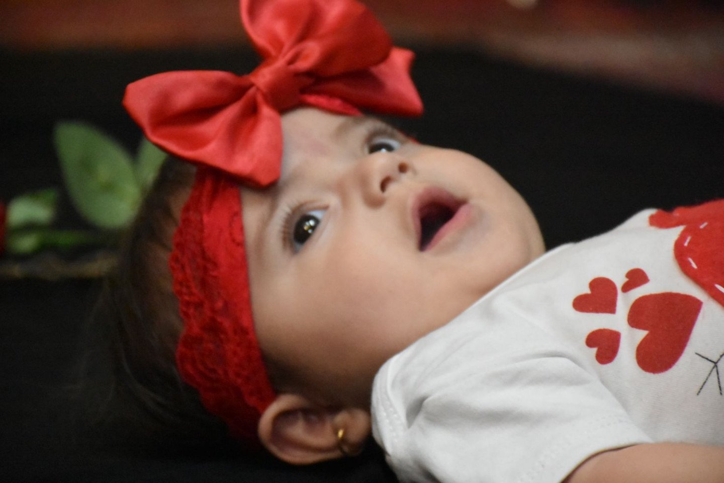 شش ماهگی نوزاد مانلی مالکی