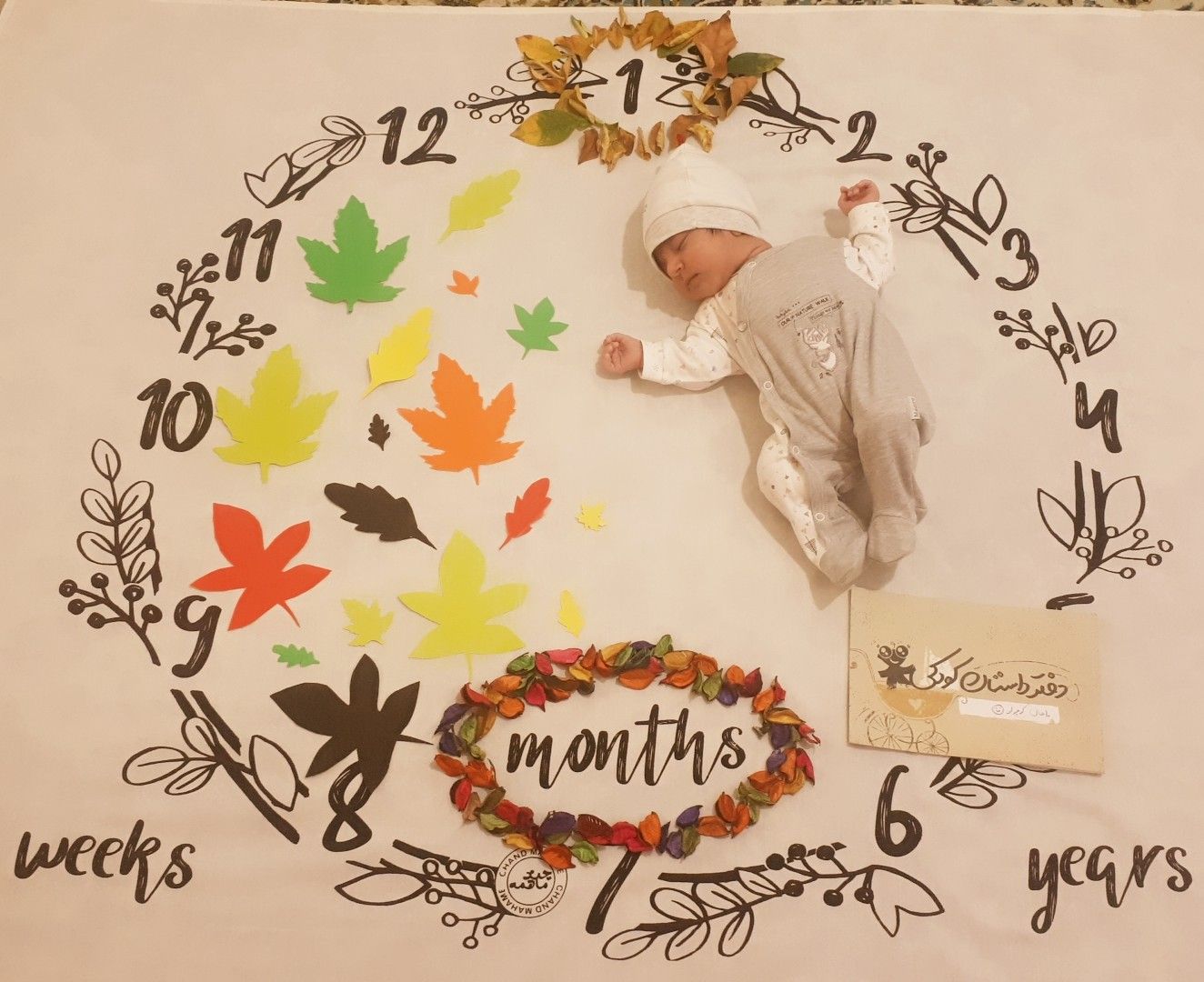تم عکس پاییزی نوزاد ماهان برخورداری احمدی