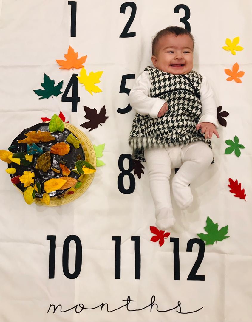 تم و تزیینات نمدی طرح گل و برگ آوا هاشمی