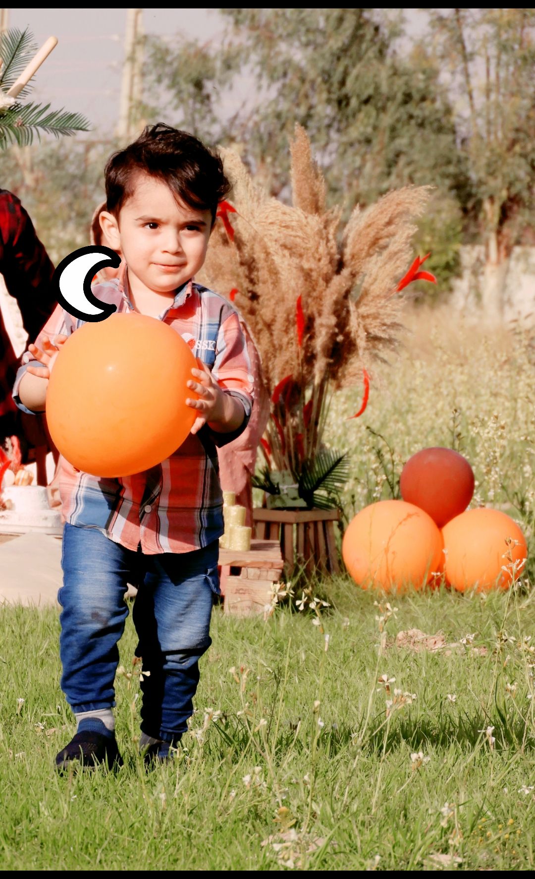 دو سالگی کودک ماهان عبدالهی راد