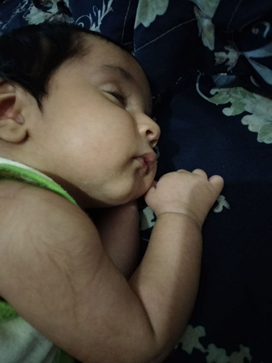 لالا کردنم نویان نظری