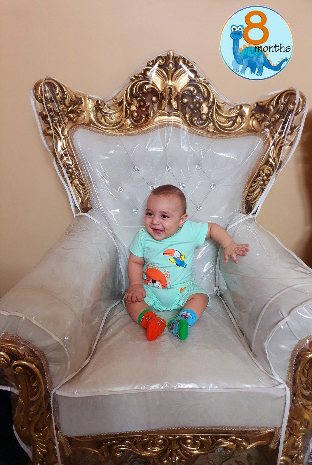 هشت ماهگی نوزاد محمدرضا باغبانی