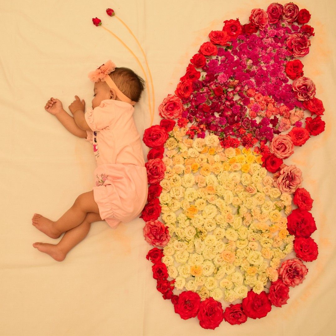 پروانه ماهلین جلیلوند