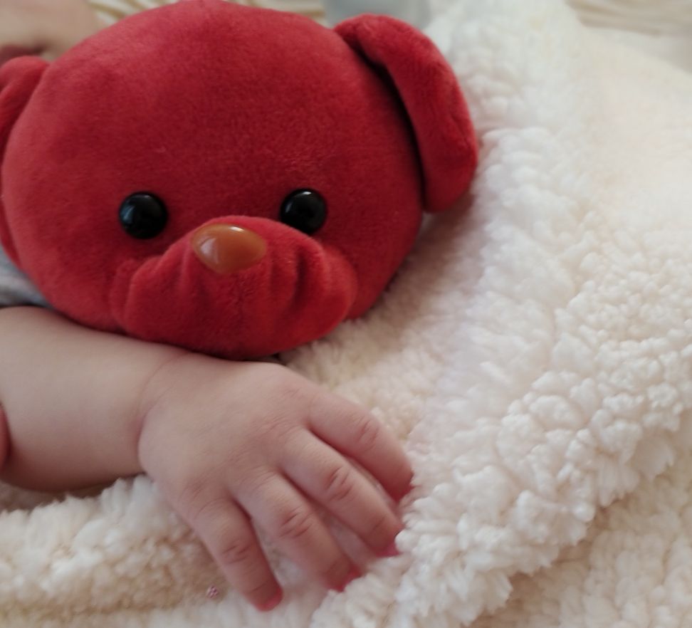 عروسک مورد علاقه parsa