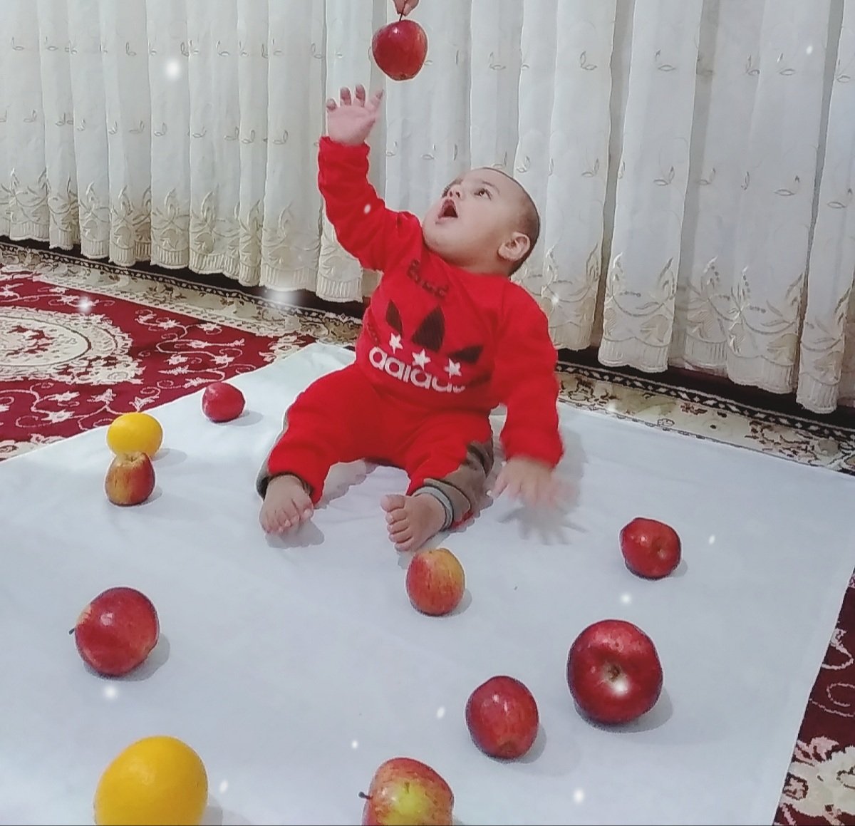 هشت ماهگی نوزاد مجتبی مختاری