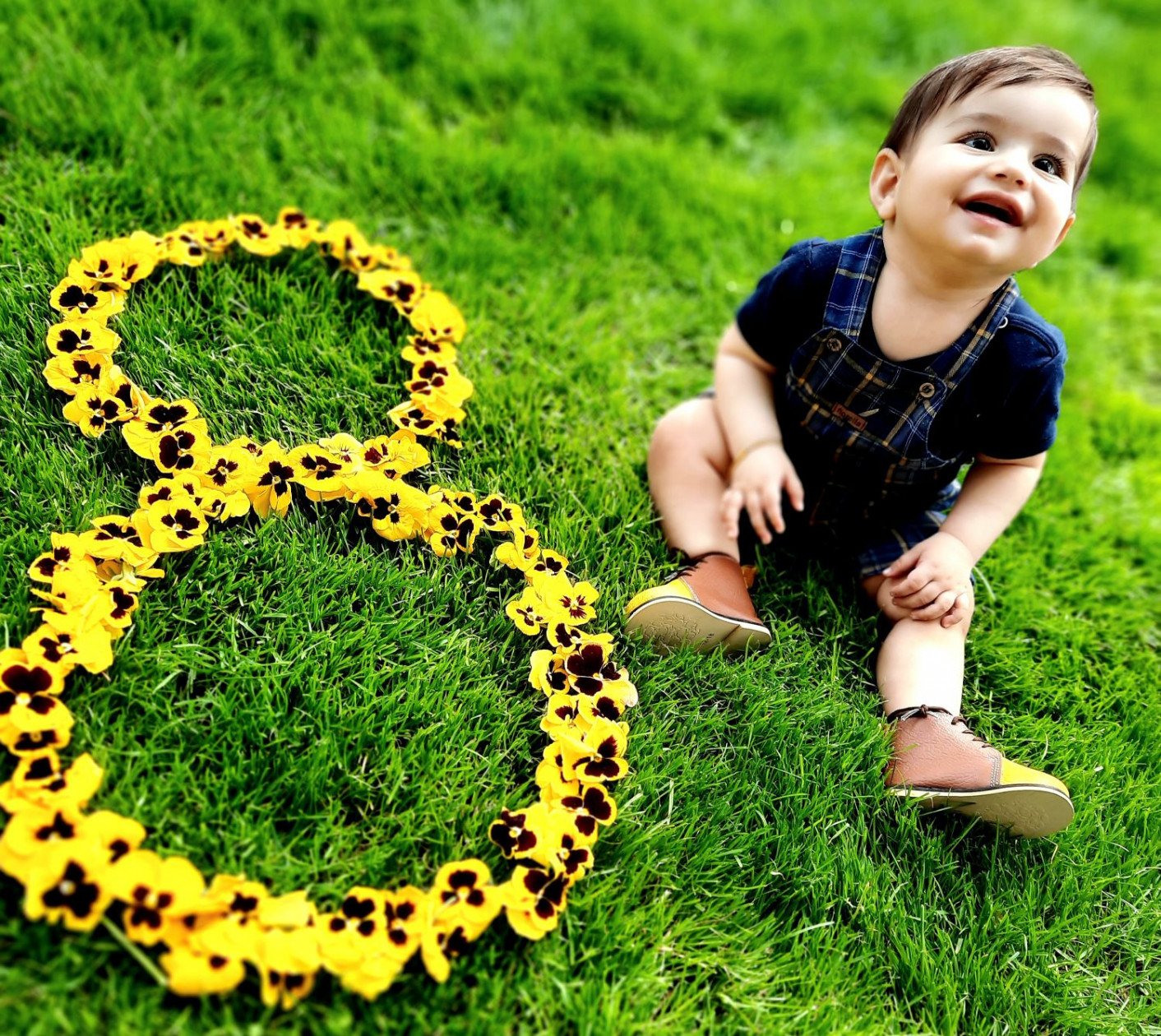 هشت ماهگی نوزاد محمد طاها عبدی ??