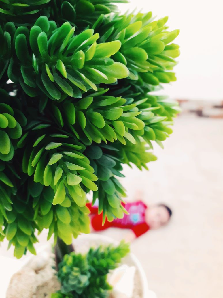 عکس سیزده بدر حسین بهفر