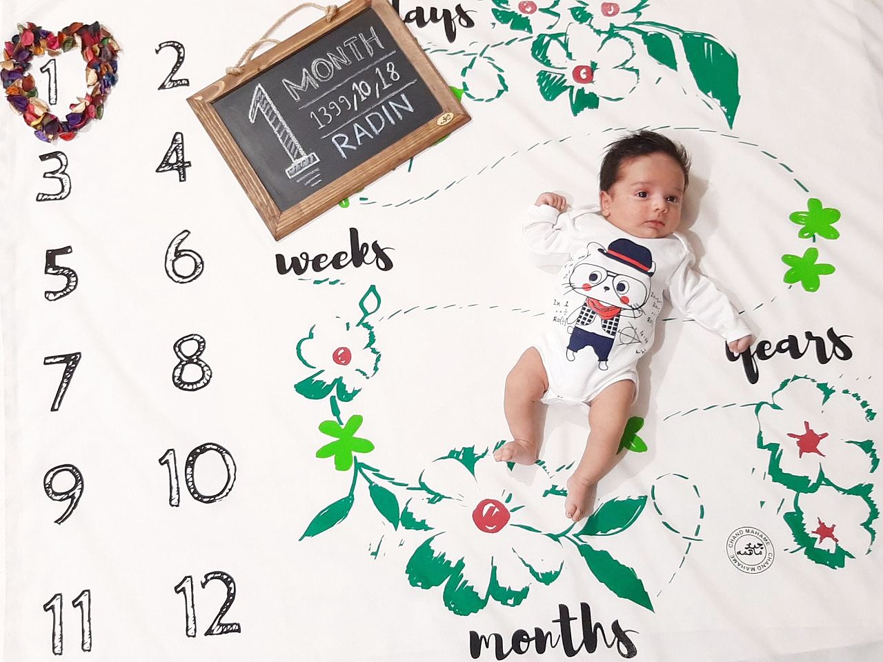 تم عکس زمستانی نوزاد رادین شیرزاد