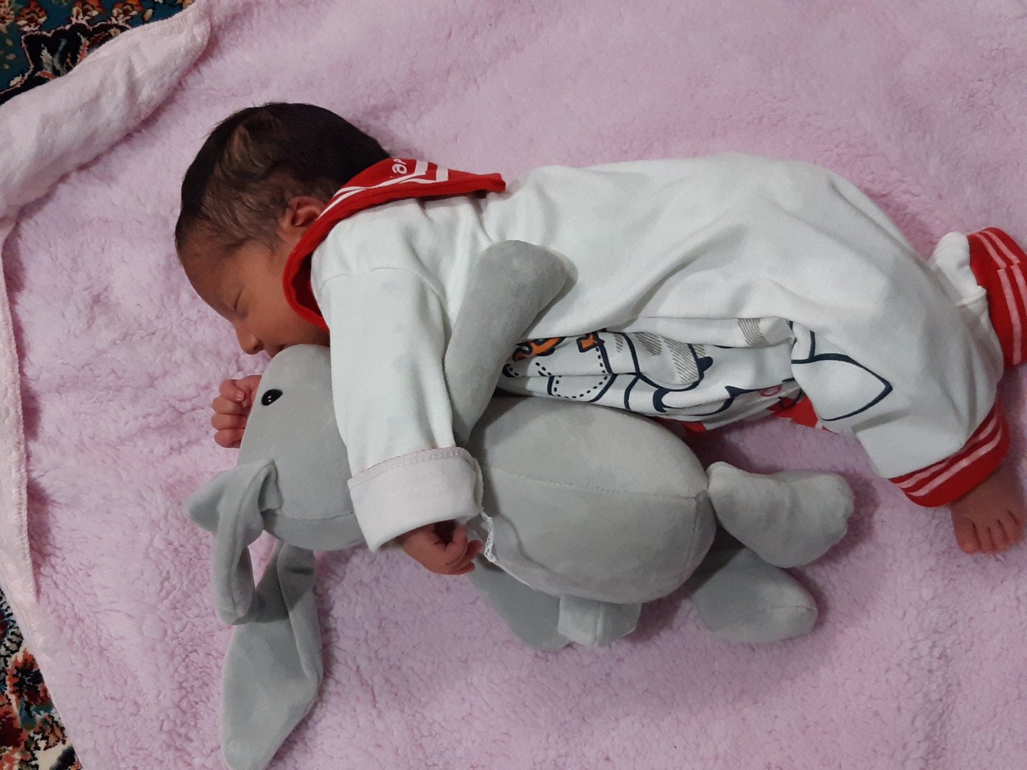 متولد شدن نوزاد رستا طاهرخانی