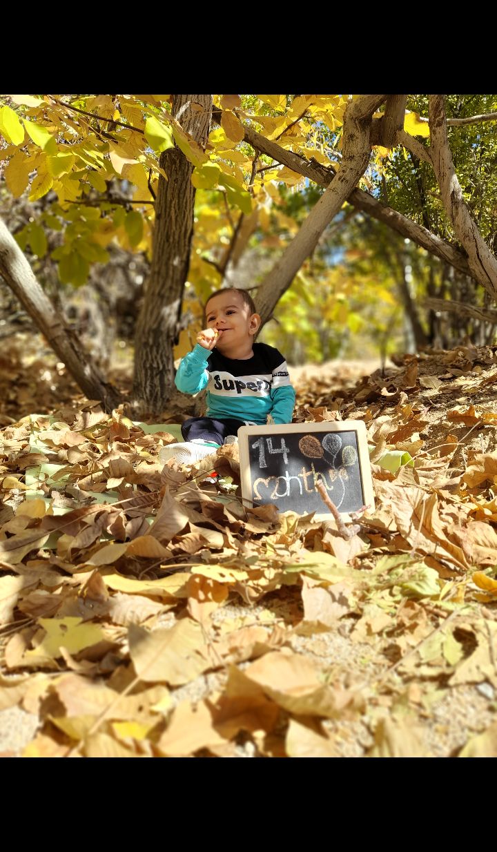 عکس نوزاد در سفر ارشام دهقان