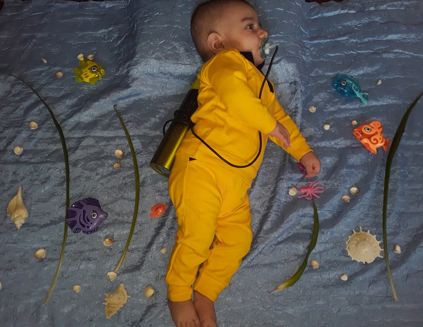 غواص-کوچولو ارشام دهقان